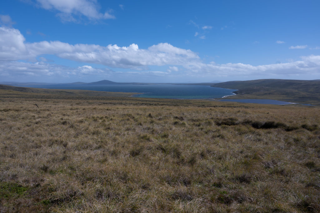 West Falkland