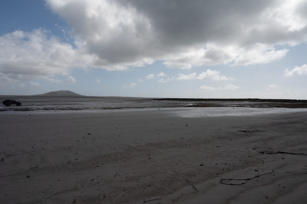 Elephant Bay - Pebble Island